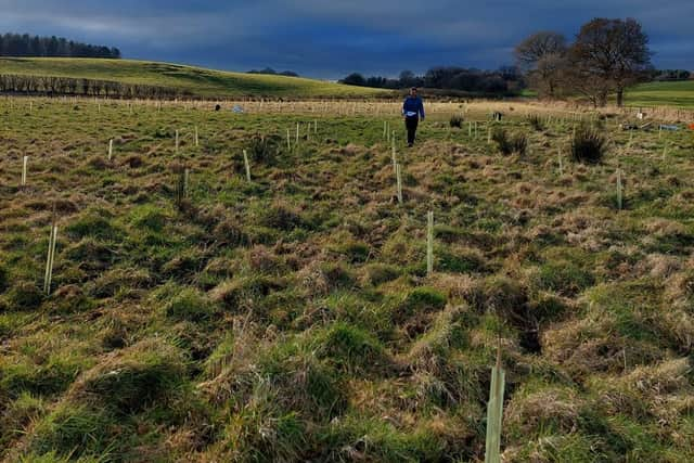 The investment will help the firm scale production as it aims to support the planting of 40 million new trees across the UK every year.