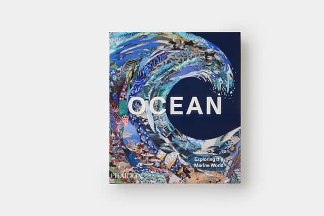 Ocean: Exploring the Marine World
