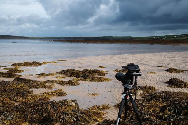 The Orkney harbour seal site in Kirkhouse (Photo: John Dickens, Sea Mammal Research Unit).