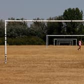 Grass is normally green in the UK (Picture: Carlos Jasso/AFP via Getty Images)