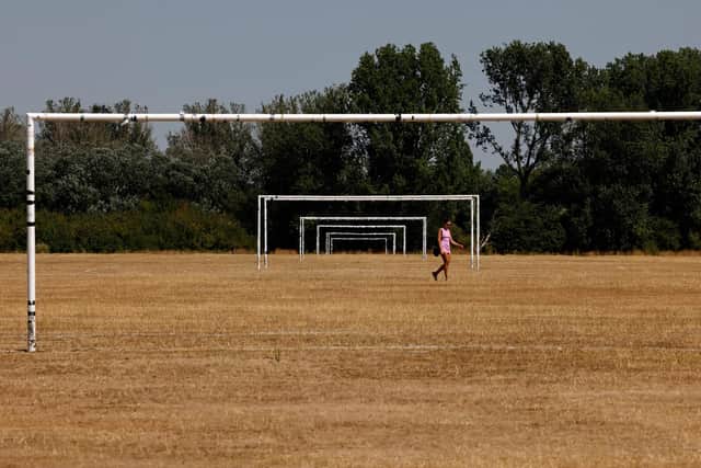 Grass is normally green in the UK (Picture: Carlos Jasso/AFP via Getty Images)