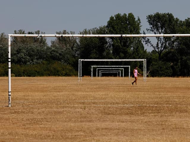 Grass is normally green in the UK (Picture: Carlos Jasso/AFP via Getty Images)