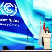 Prime Minister Rishi Sunak addresses delegates during the COP27 climate conference in Sharm El Sheikh, Egypt. Picture: Stefan Rousseau - Pool/Getty Images