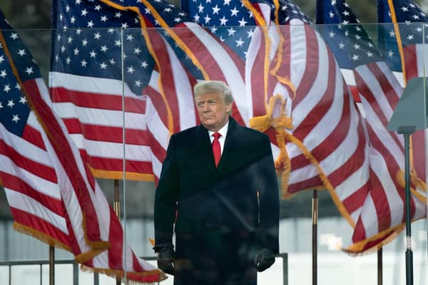 'Going Underground' in despair at democracy only cedes control of society to people like Donald Trump (Picture: Brendan Smialowski/AFP via Getty Images)