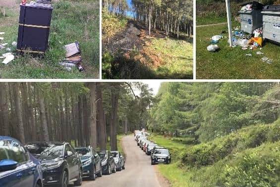 Lockdown easing has seen widespread littering, dirty camping, public toileting and damage through unattended barbecues and campfires across Scotland