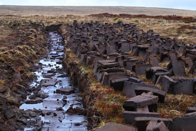 Peat cutting on the Moine near the Spaceport site.