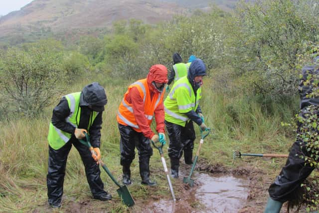 Conservationists has been out on the hills to create new homes for the rare Northern Emerald dragonfly on Balmacara Estate, in the northwest Highlands