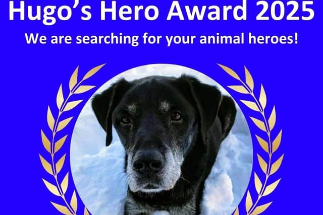 Hugo’s Hero Award 2025 - Nominations are now open! (Image of Hugo the hero)