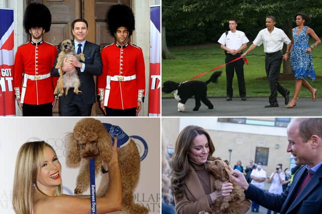 A few of the celebs Scots would trust to look after their dogs.