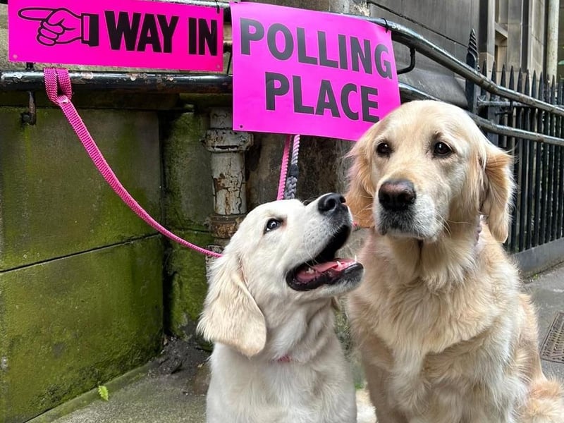 Ivy the Goldie pup and Mum in Edinburgh