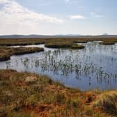 Scotland's Flow Country - home to globally important peatlands stretching across a vast swath of land in Caithness and Sutherland -- contains around five per cent of the world's entire blanket bog habitat. Picture: Rebekka Artz/James Hutton Institute