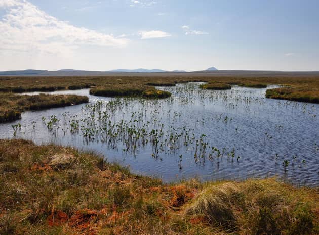 Scotland's Flow Country - home to globally important peatlands stretching across a vast swath of land in Caithness and Sutherland -- contains around five per cent of the world's entire blanket bog habitat. Picture: Rebekka Artz/James Hutton Institute