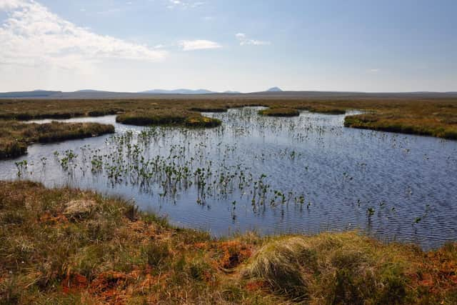 Scotland's Flow Country - home to globally important peatlands stretching across a vast swath of land in Caithness and Sutherland -- contains around five per cent of the world's entire blanket bog habitat. Picture: Rebekka Artz/James Hutton Institute