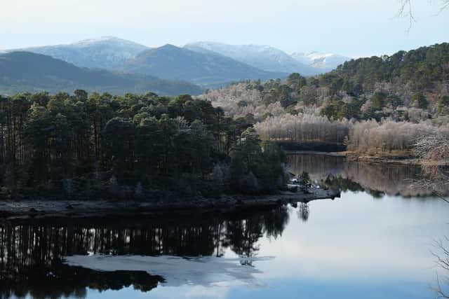 Affric Highlands is an ambitious project that aims to restore nature and habitats across more than 500,000 acres of the Scottish landscape, from Loch Ness to Glen Shiel on the west coast, with wellbeing and economic benefits for local communities, native wildlife and the planet. Picture: Trees for Life