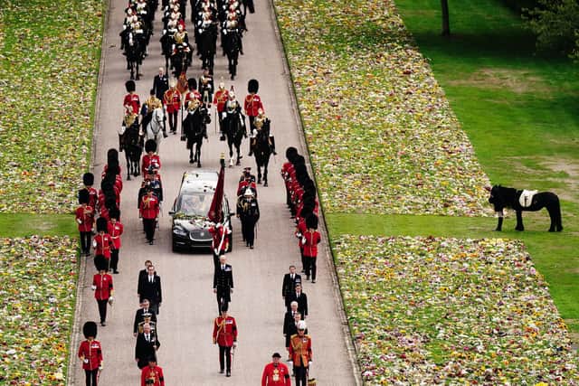 Emma, the monarch's fell pony, stands as the Ceremonial Procession of the coffin of Queen Elizabeth II arrives at Windsor Castle for the Committal Service at St George's Chapel. Picture: Aaron Chown/PA Wire