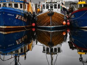 Fishing boats are seen tied up at Tarbert Harbor in Tarbert, Scotland. Picture: Jeff J Mitchell/Getty Images