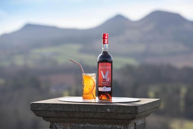 Dominic and David Tait, co-founders of drinks maker Tait Bros, launched award-winning Valentian Vermouth in late 2019 just before the pandemic hit. Picture: Kirsty Anderson Photography