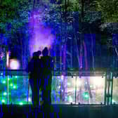 The Enchanted Forest event, now in its 21st year, brought in nearly £10m to the local economy in Perthshire in 2022, research shows. Picture: Roberto Ricciuti
