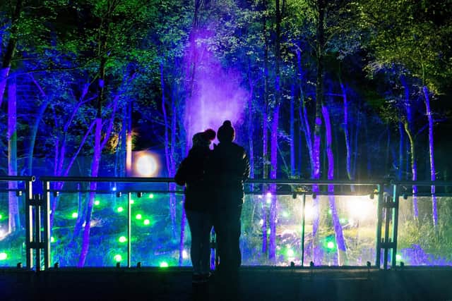 The Enchanted Forest event, now in its 21st year, brought in nearly £10m to the local economy in Perthshire in 2022, research shows. Picture: Roberto Ricciuti