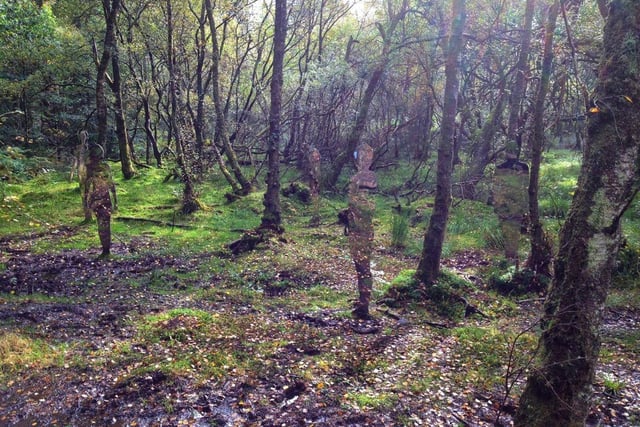 The 200	square kilometres of Queen Elizabeth Forest Park was established in 1953 and named to mark the coronation of Queen Elizabeth II. Part of Loch Lomond and The Trossachs National Park, it contains a number of well known beauty spots including Loch Ard and Loch Katrine.