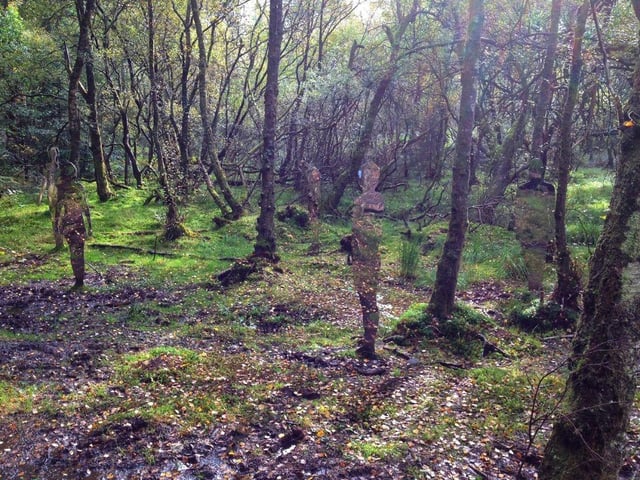 The 200 square kilometres of Queen Elizabeth Forest Park was established in 1953 and named to mark the coronation of Queen Elizabeth II. Part of Loch Lomond and The Trossachs National Park, it contains a number of well known beauty spots including Loch Ard and Loch Katrine.
