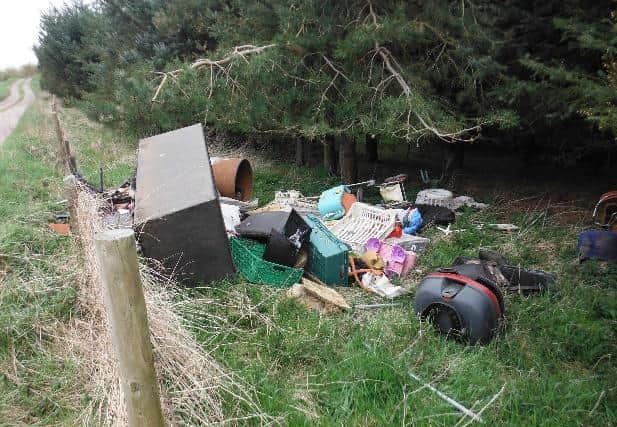 Rural businesses and environmental organisations are calling for the Scottish Government to stamp out fly-tipping, which is blighting the landscape and poses a danger to people and animals