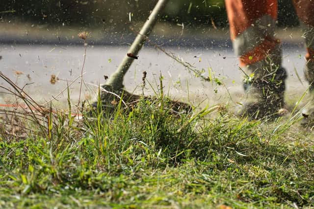 Grass cutting is one of the services getting cut.