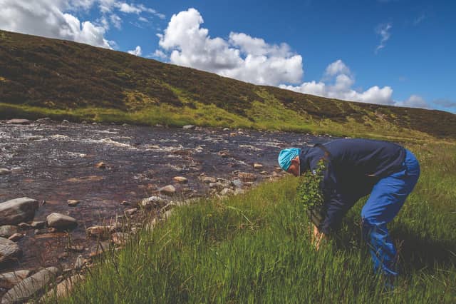Conservation Manager Shaila Rao tree planting on the banks of River Geldie (NTS)
