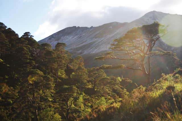 This eye-catching image, taken by Ben Catchpole from Norwich, was picked as the winner in a photographic competition run by NatureScot to celebrate Beinn Eighe's 70th anniversary as a national nature reserve