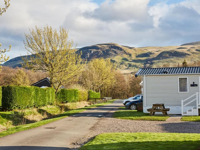 Campsie Glen