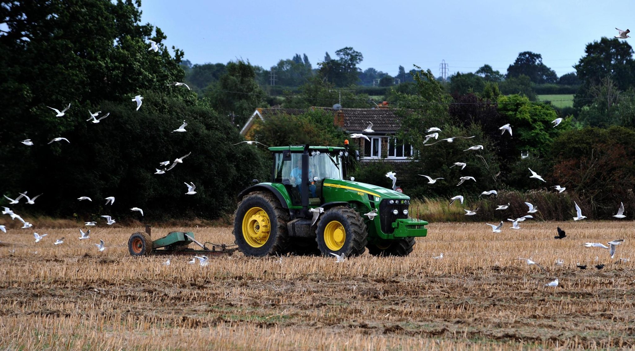 Russia's invasion of Ukraine could cause global food crisis UN chief warns
