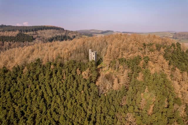 Binnhill Tower at Kinfauns, near Perth, is a familiar landmark with those travelling north on the A90. PIC: Thorntons.
