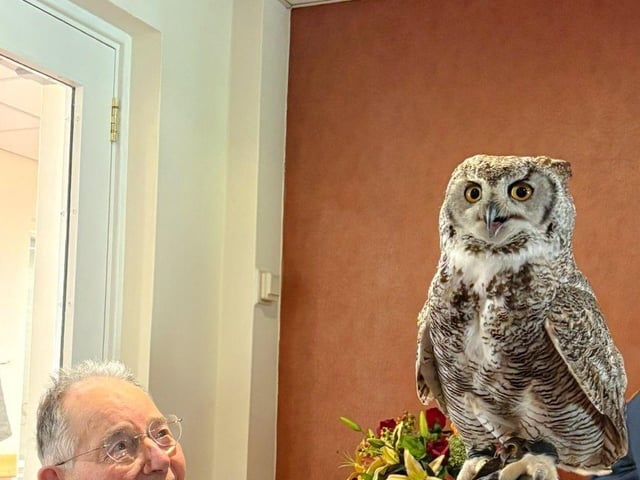 residents admiring the birds