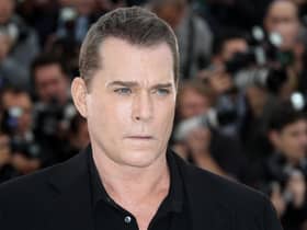 Ray Liotta insisted he never contemplated acting while growing up in New Jersey