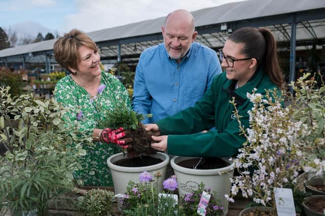 Dobbies is launching a brand-new Heritage Planting and Afternoon Tea experience to mark 160 years of helping British gardeners to grow