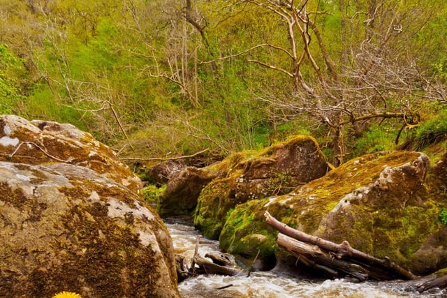 Just a few miles to the south of Edinburgh is Roslin Glen Country Park, offering riverside treks through ancient woodland. You can combine a walk with a visit to the nearby Rosslyn Chapel, the mysterious spot made famout by Dan Brown's The Da Vinci Code.