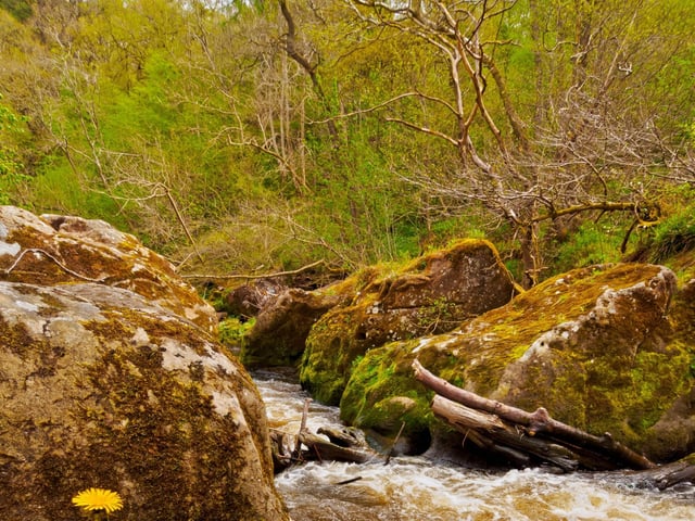 Just a few miles to the south of Edinburgh is Roslin Glen Country Park, offering riverside treks through ancient woodland. You can combine a walk with a visit to the nearby Rosslyn Chapel, the mysterious spot made famout by Dan Brown's The Da Vinci Code.