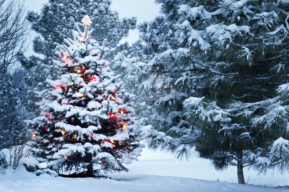 What is a White Christmas? Definition of the term - and how many snow