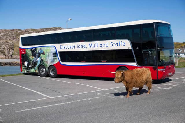 West Coast Tours offers trips to Mull, Iona, Staffa and the Treshnish Isles. Picture: West Coast Motors.