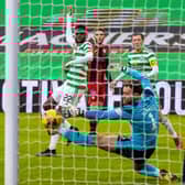 Celtic's Odsonne Edouard makes it 1-1. (Photo by Craig Williamson / SNS Group)