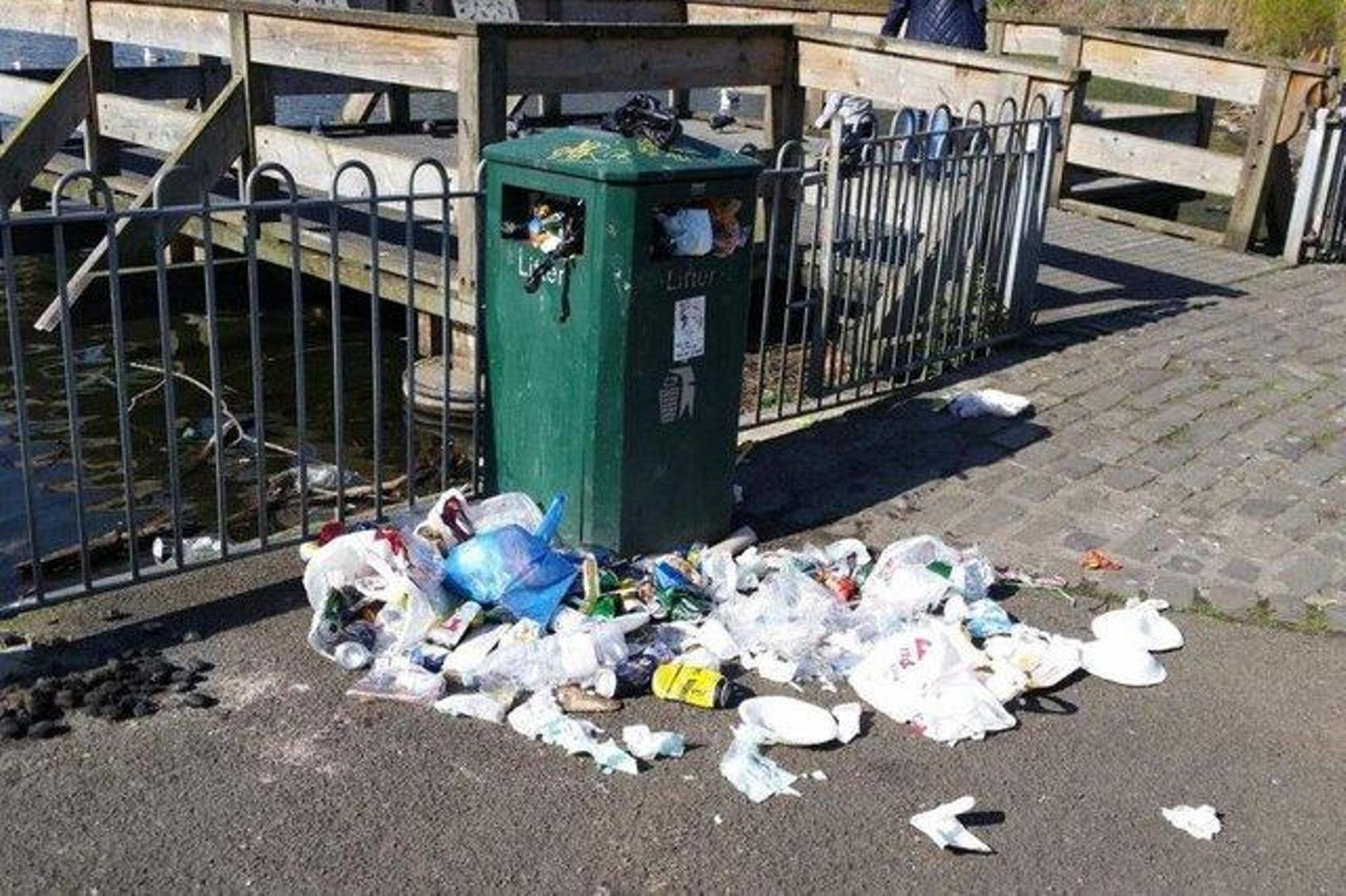 Dog poop, litter, fly-tipping to be targeted by every party in Edinburgh council election