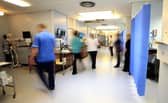 NHS Scotland sickness rates have risen to a ten-year high.