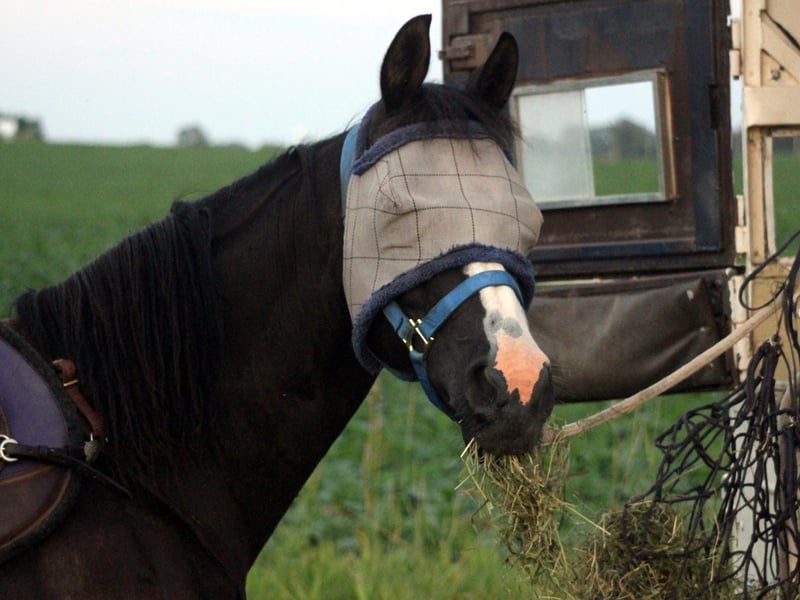 "A nod is as good as a wink to a blind horse" - basically that small hints are often enough to convey what we want to say.