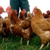 The government has warned of threat of a new outbreak of bird flu.