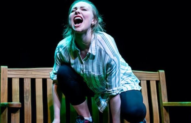 "As Cowan’s story begins, her character Maggie is sitting by the wolf enclosure at Edinburgh Zoo, gazing at the only living creatures with whom she can still identify. The story she unfolds is one in which strands of class, gender and ideology intertwine to create a horrifying cocktail of rage and violence." Joyce McMillan on She Wolf (Assembly Roxy (Venue 139), until 28 August (not 15, 22))