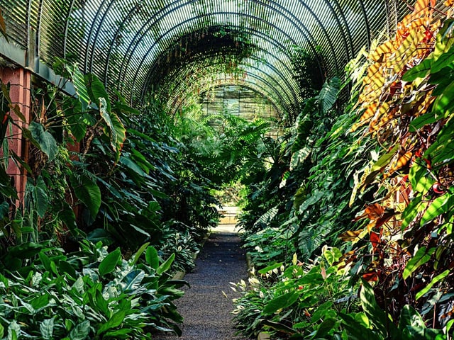 If you’re a nature-loving family, or a parent trying to get your kids interested in the garden, then look no further than The Royal Botanic Gardens. Located in Edinburgh, the gardens house over 2,400 plants from countries worldwide, creating a breathtaking experience for the little ones. For more information, check out the Royal Botanic Garden’s website (https://www.rbge.org.uk/).
