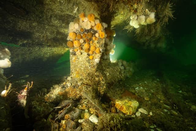 A German U-boat from the First World War is likely to have been sunk deliberately rather than being handed to the Allies, according to a 3D map produced by researchers. Picture: Prof Chris Rowlan/University of Dundee/PA Wire