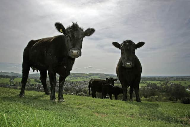 Eating less meat and choosing organic, free-range produce can help get the planet back on track (Picture: Christopher Furlong/Getty Images)