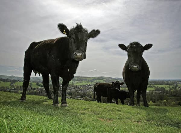 Eating less meat and choosing organic, free-range produce can help get the planet back on track (Picture: Christopher Furlong/Getty Images)