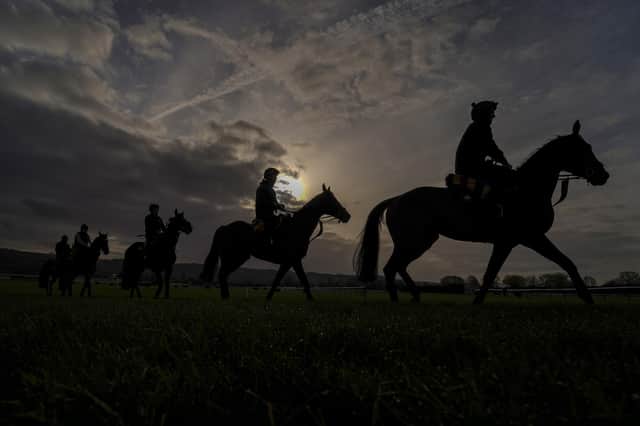 Horses exercise on the gallops at Cheltenham Racecourse ahead of the festival. Picture: Alan Crowhurst/Getty Images